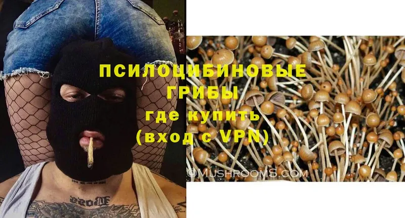 Псилоцибиновые грибы MAGIC MUSHROOMS  мега как зайти  Уссурийск  сколько стоит 